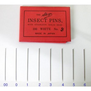 곤충핀 (Insect Pin)