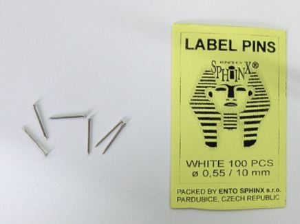라벨핀 (Label Pin)